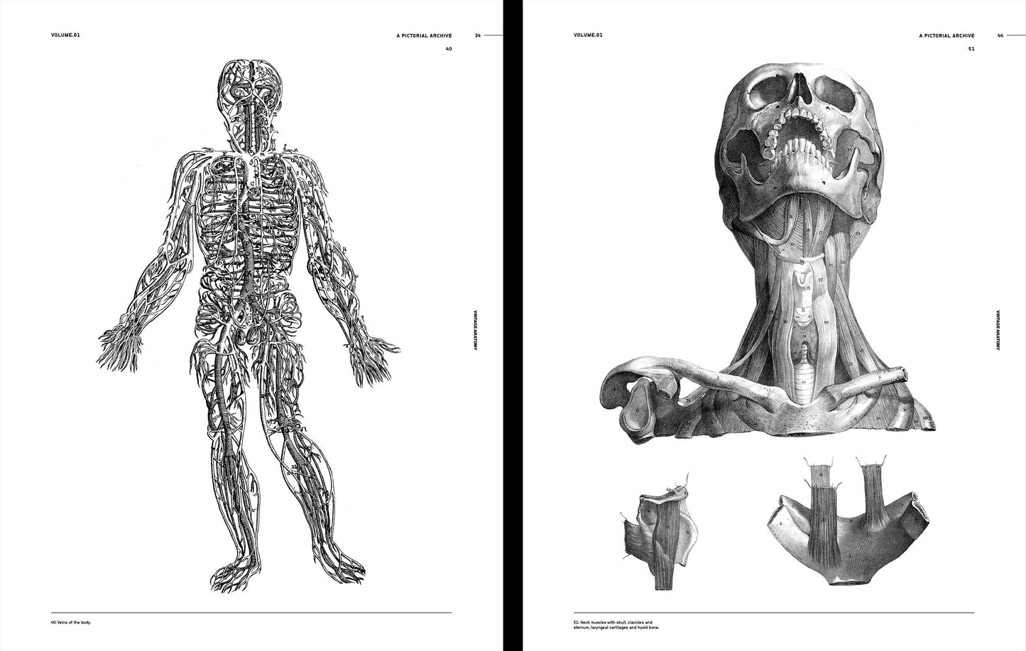 Vault Editions: Vintage Anatomy Reference Book (Pre-Order)