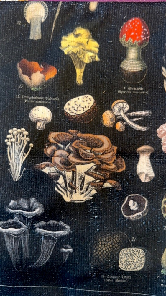 Tea Towels π