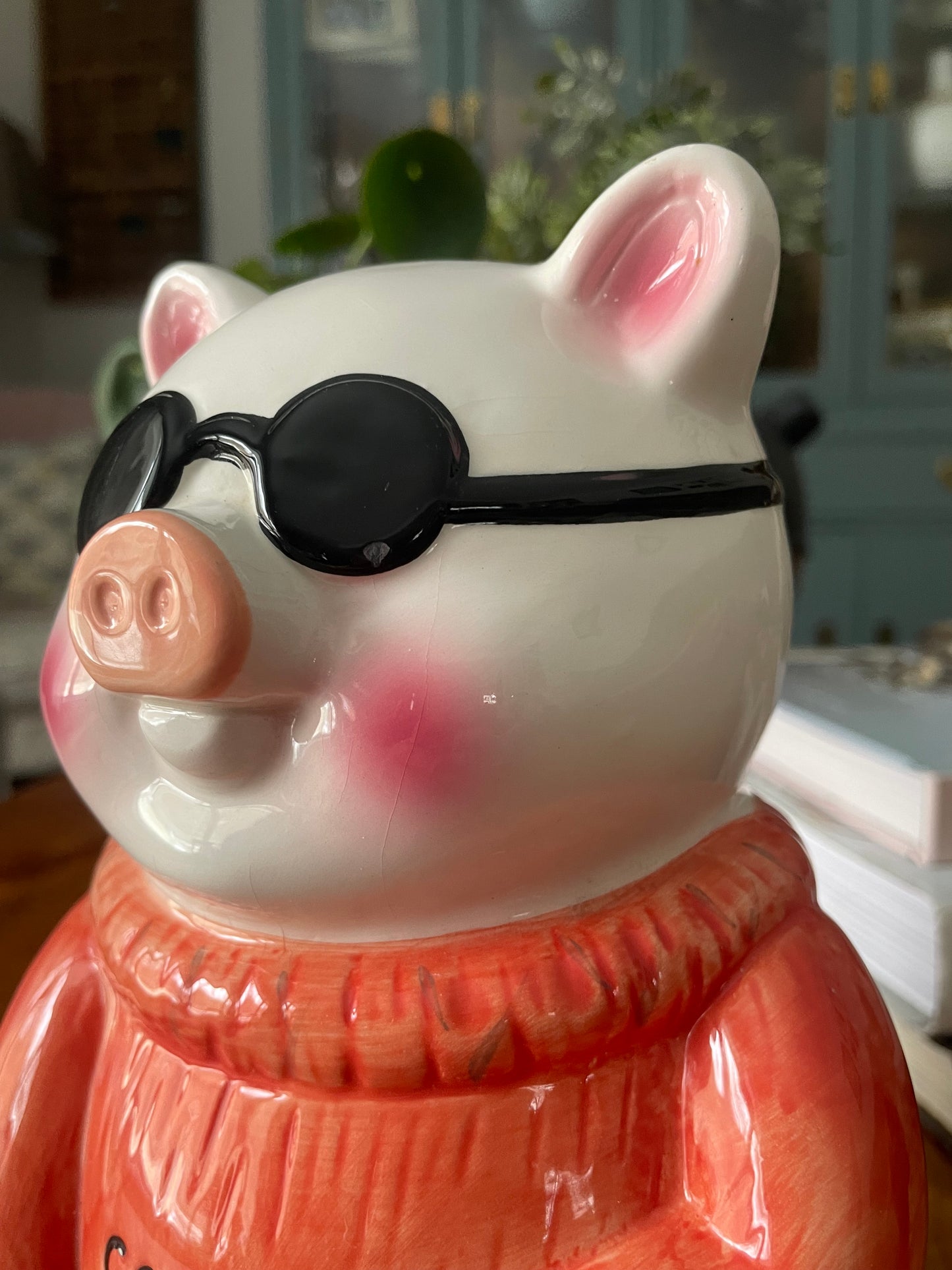‘Cool Pig’ Piggybank