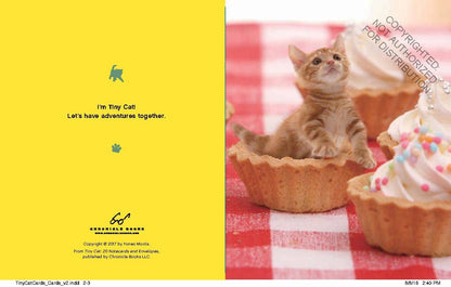 Tiny Cat Notecards
