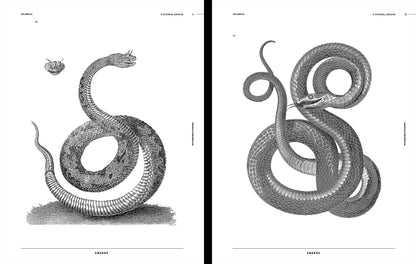 Vault Editions: Snakes & Other Reptiles Reference Book (Pre-Order)