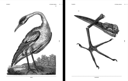 Vault Editions: Birds Reference Book (Pre-Order)