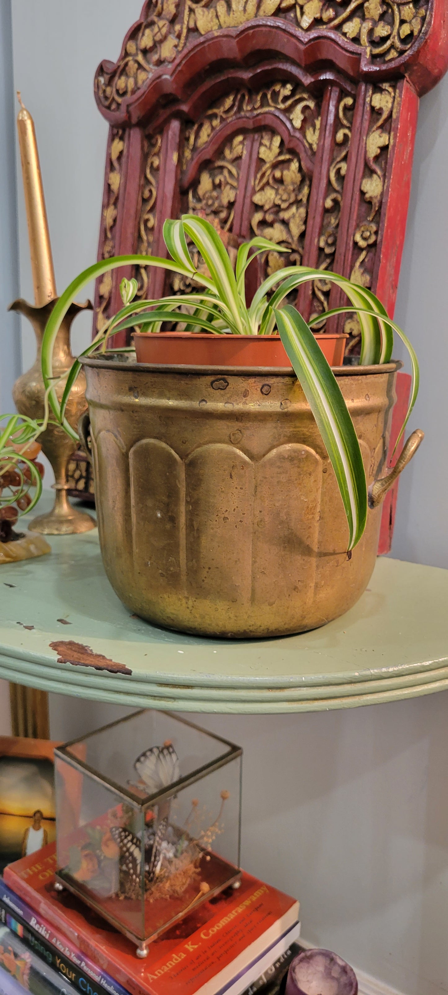 Brass Planter 🌿