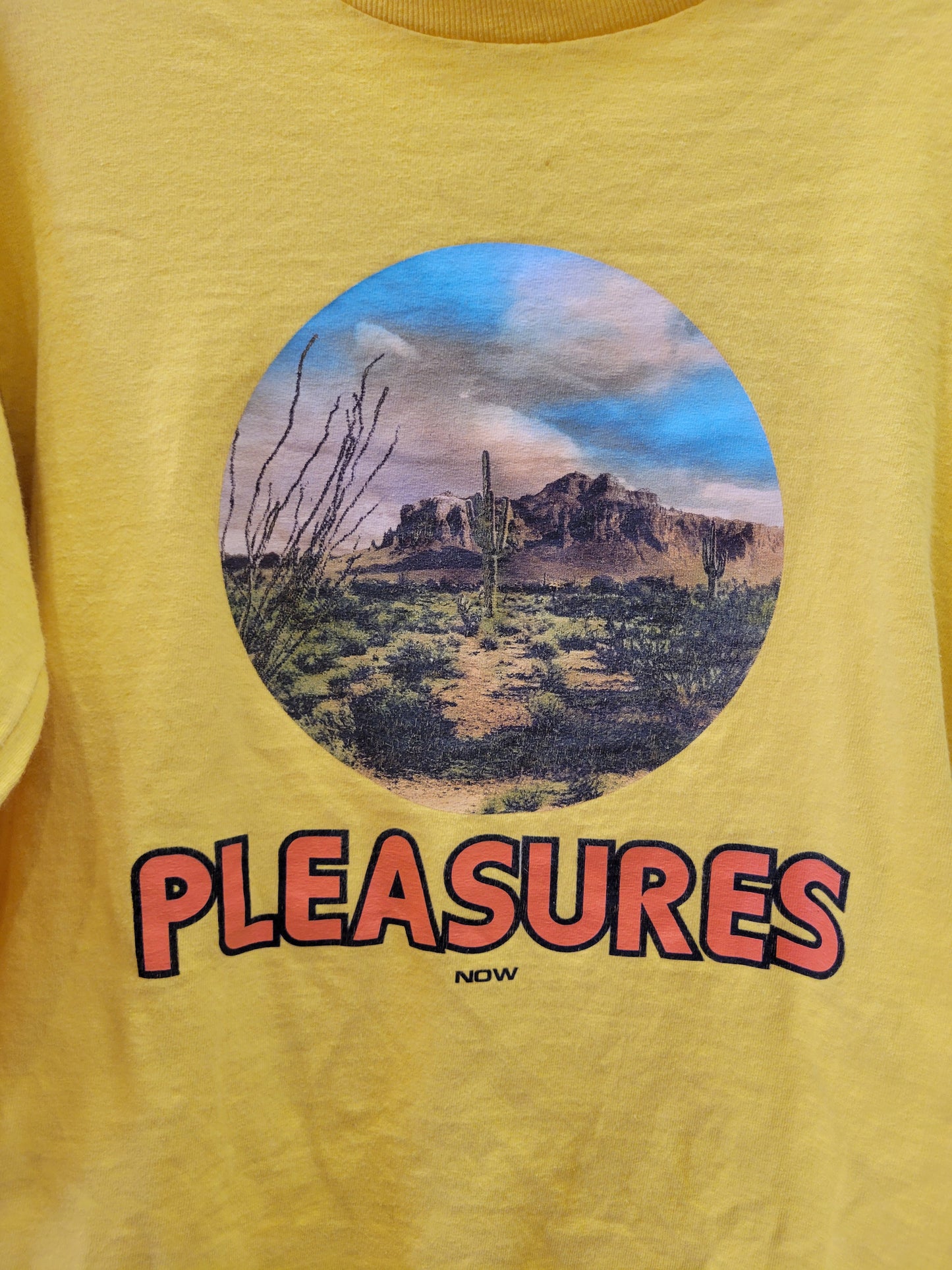 Pleasures Now 🌵