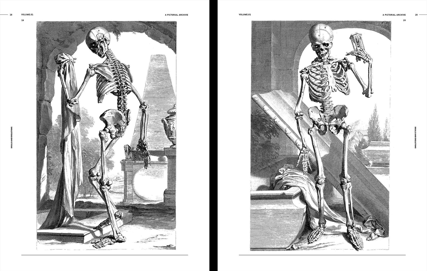 Vault Editions: Skulls & Skeletons Reference Book (Pre-Order)