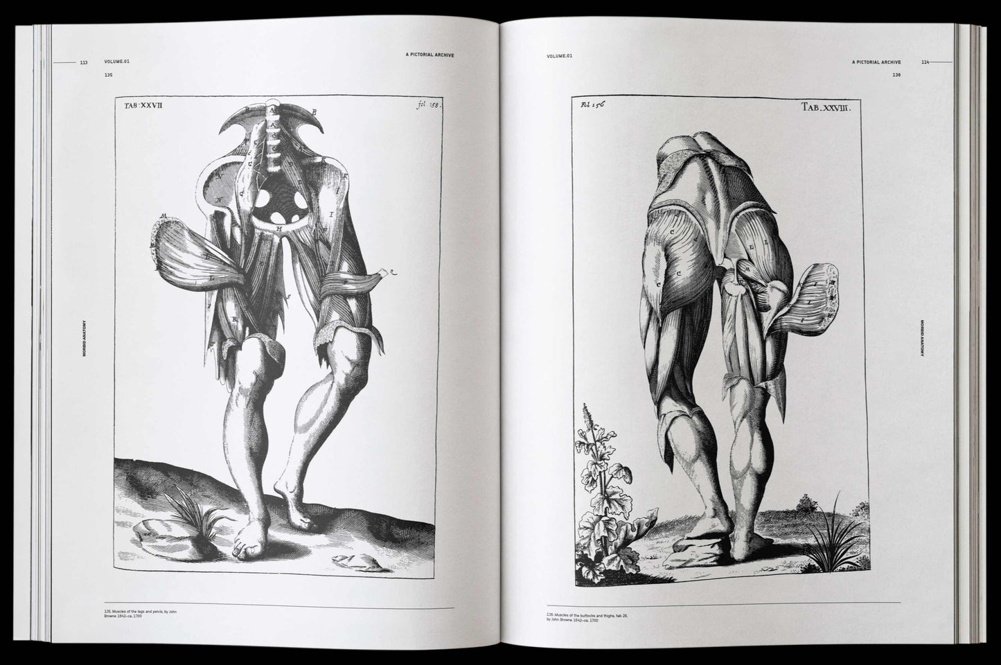 Vault Editions: Morbid Anatomy Reference Book (Pre-Order)