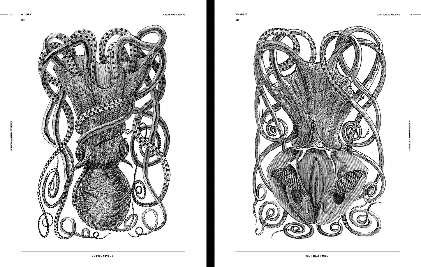 Vault Editions: Sea-Life & Monsters of the Deep Reference Book (Pre-Order)