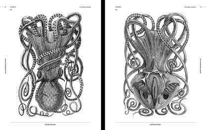 Vault Editions: Sea-Life & Monsters of the Deep Reference Book (Pre-Order)