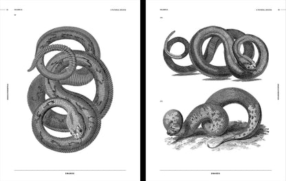 Vault Editions: Snakes & Other Reptiles Reference Book (Pre-Order)