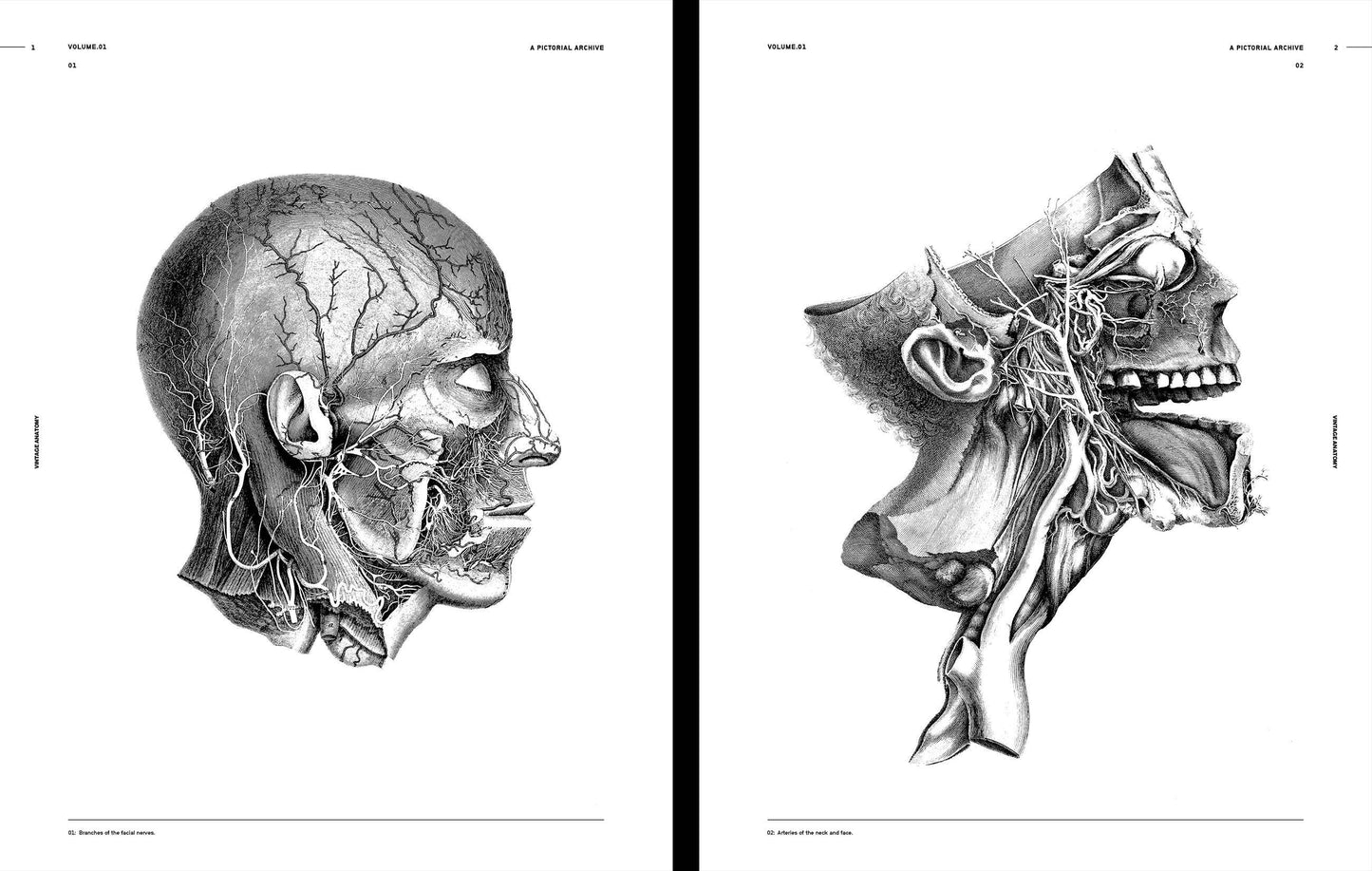 Vault Editions: Vintage Anatomy Reference Book (Pre-Order)