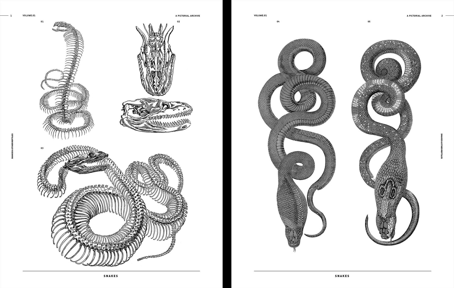 Vault Editions: Snakes & Other Reptiles Reference Book (Pre-Order)