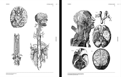 Vault Editions: Vintage Anatomy Reference Book (Pre-Order)