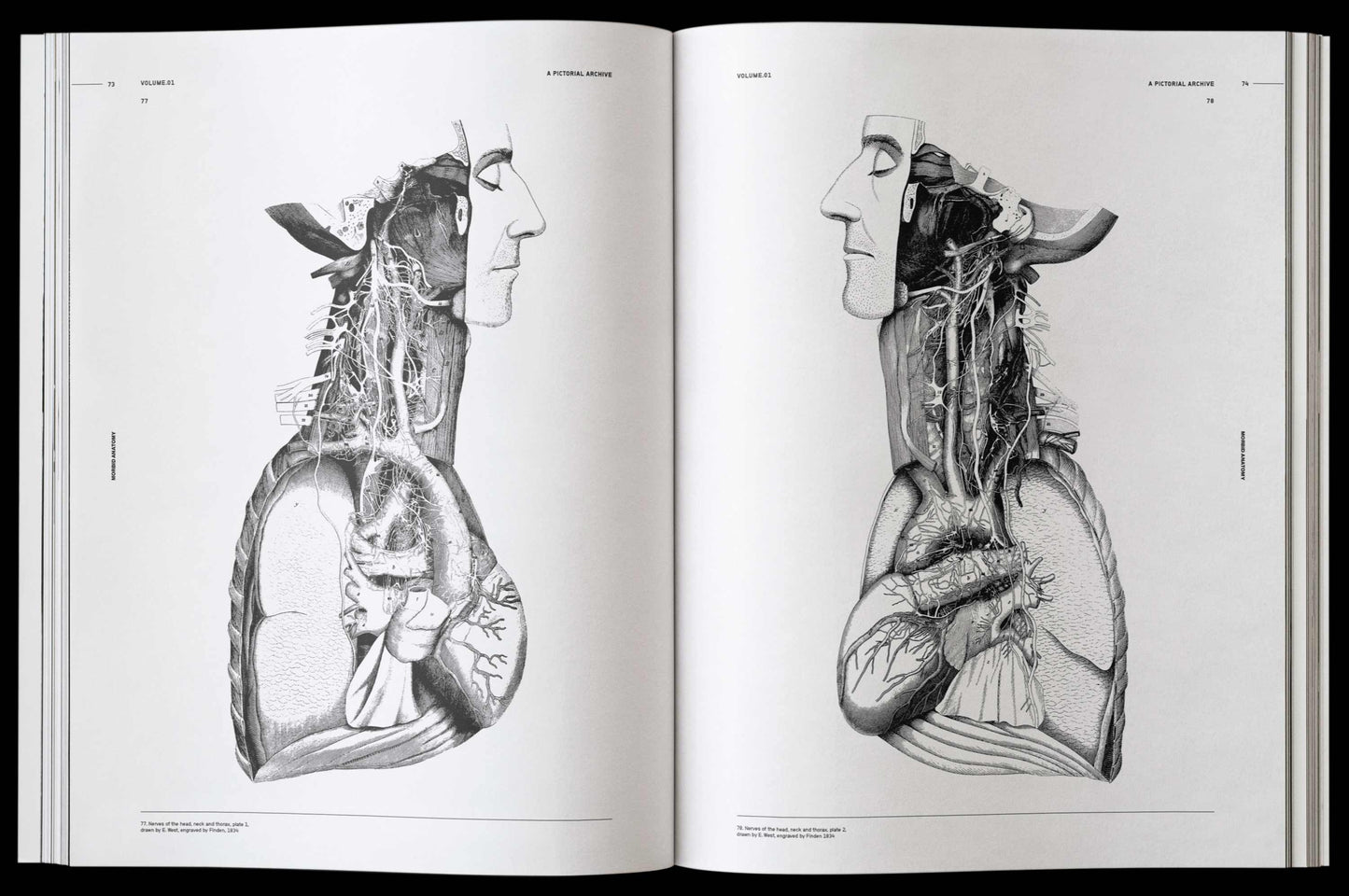Vault Editions: Morbid Anatomy Reference Book (Pre-Order)