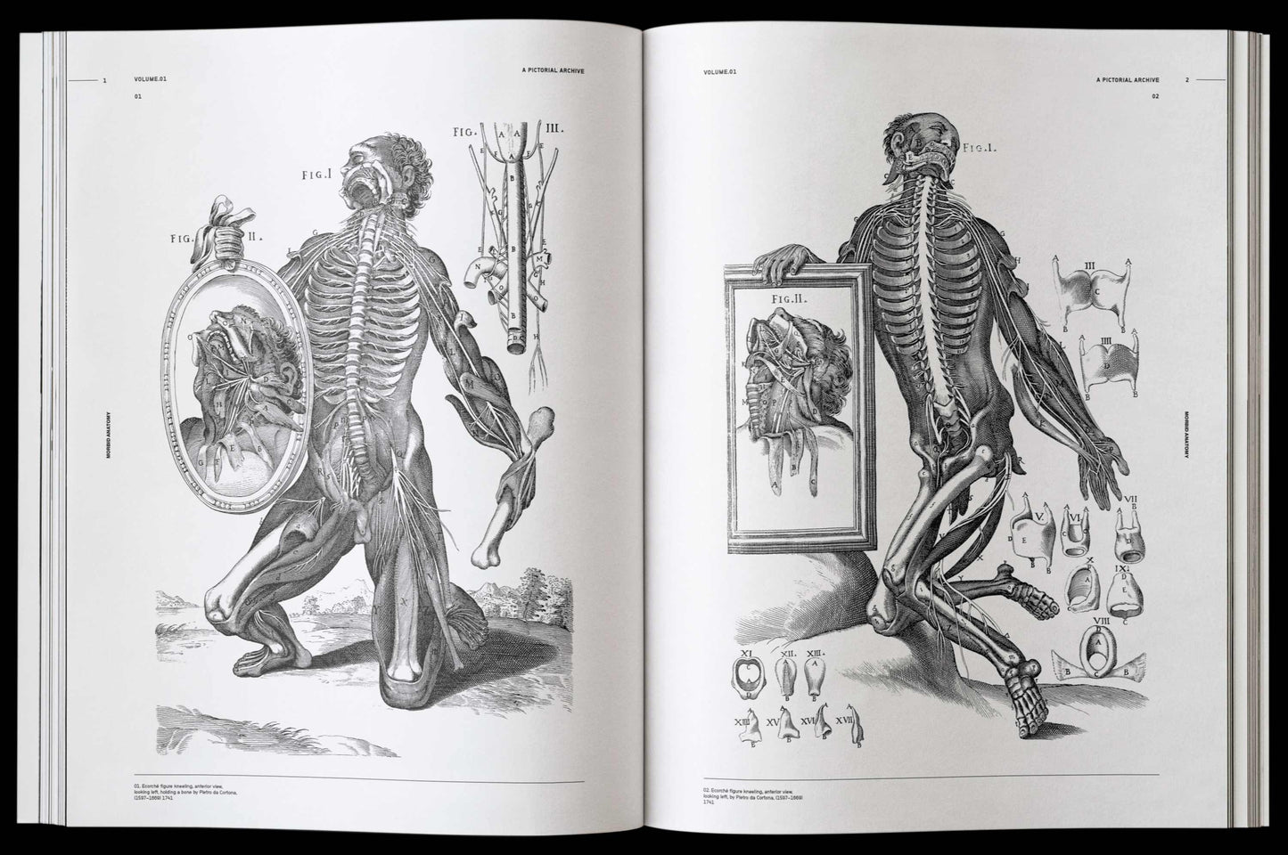 Vault Editions: Morbid Anatomy Reference Book (Pre-Order)