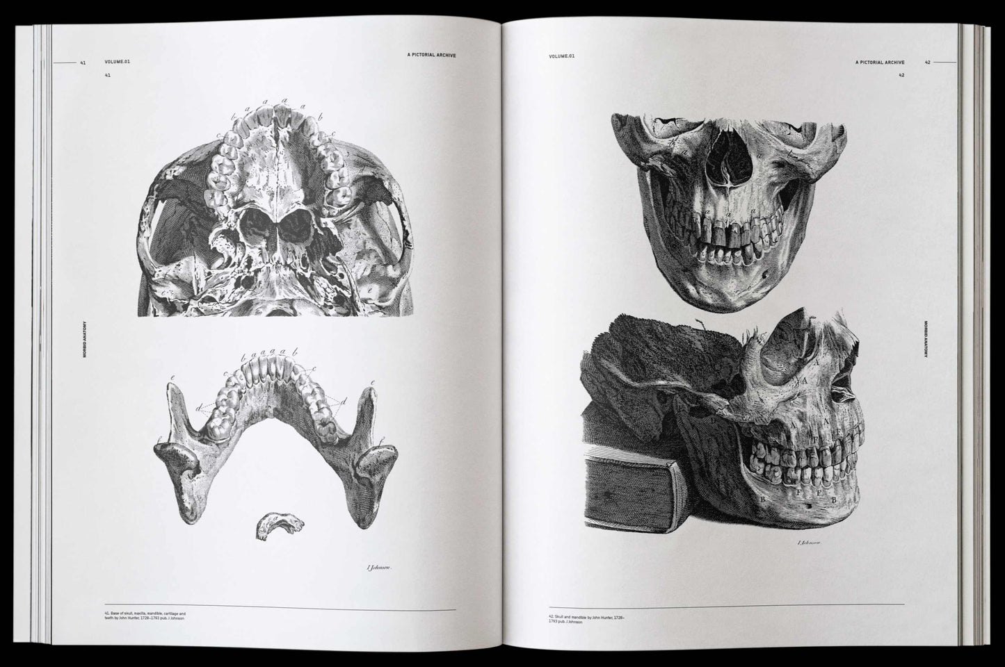 Vault Editions: Morbid Anatomy Reference Book (Pre-Order)