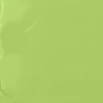 Vegan & 21-free Nail Polish - Haricot Magique