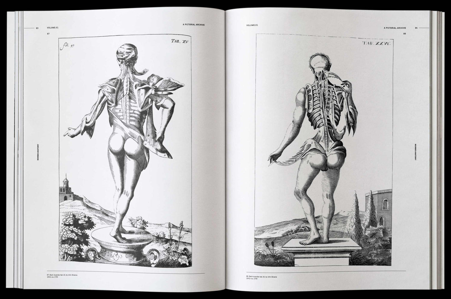 Vault Editions: Morbid Anatomy Reference Book (Pre-Order)