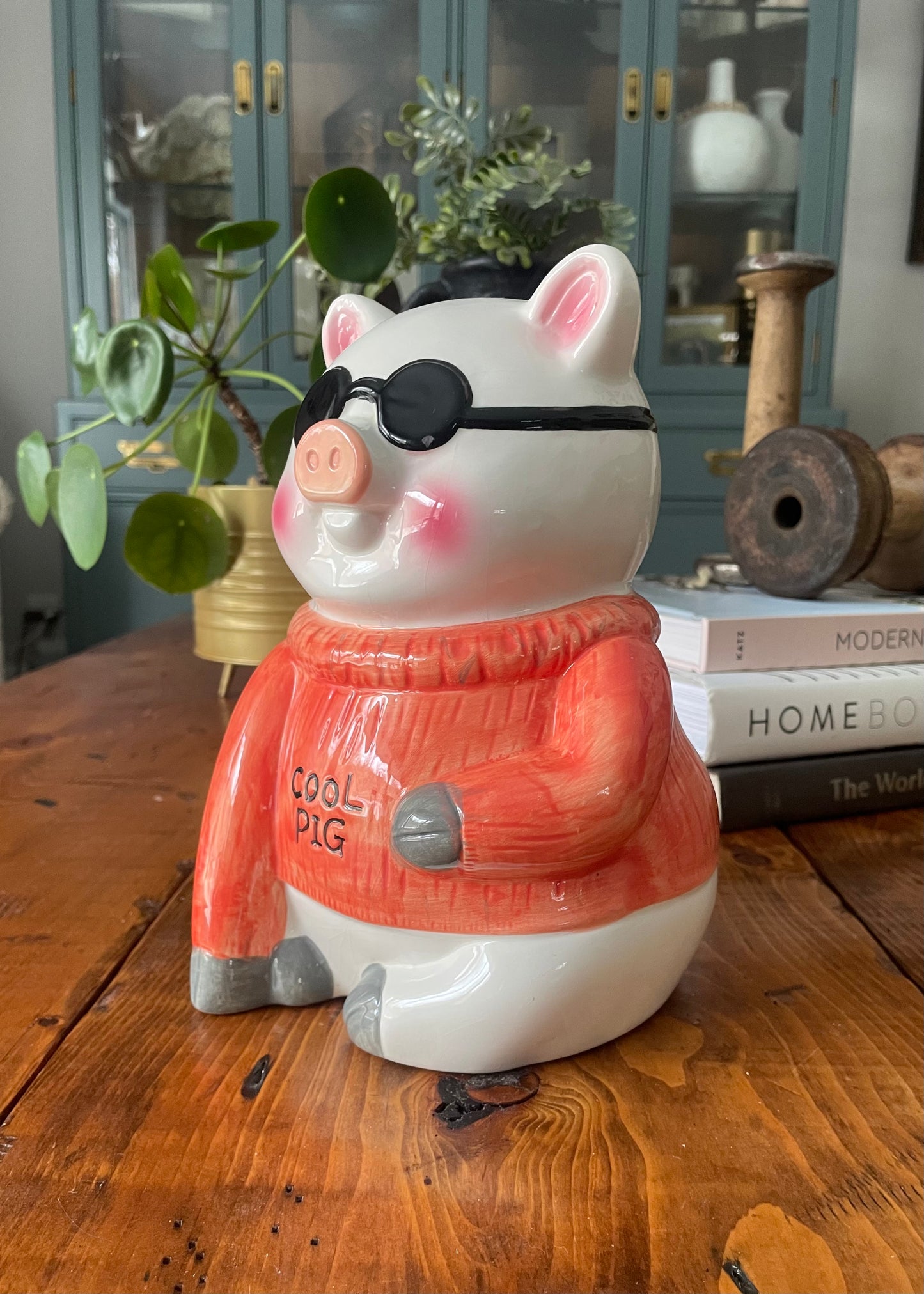 ‘Cool Pig’ Piggybank