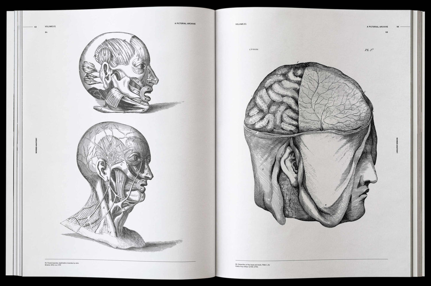 Vault Editions: Morbid Anatomy Reference Book (Pre-Order)