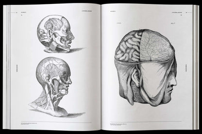 Vault Editions: Morbid Anatomy Reference Book (Pre-Order)