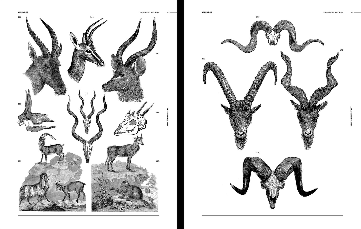 Vault Editions: Animal Reference Book (Pre-Order)
