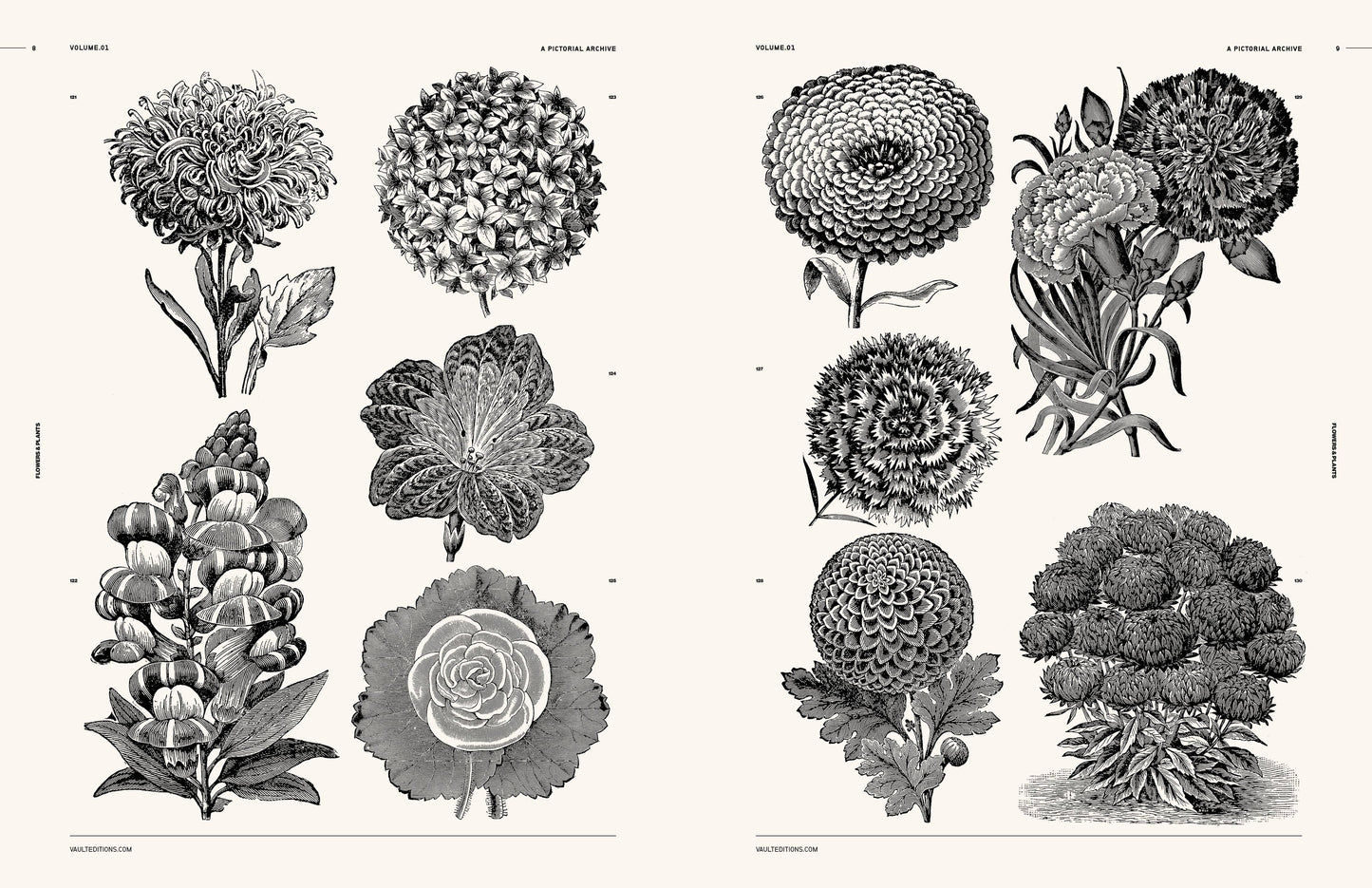 Vault Editions: Flowers and Plants Reference Book (Pre-Order)