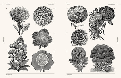 Vault Editions: Flowers and Plants Reference Book (Pre-Order)