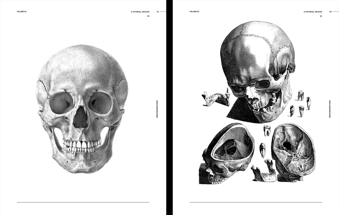 Vault Editions: Skulls & Skeletons Reference Book (Pre-Order)