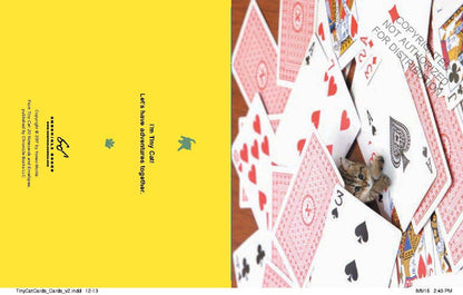 Tiny Cat Notecards