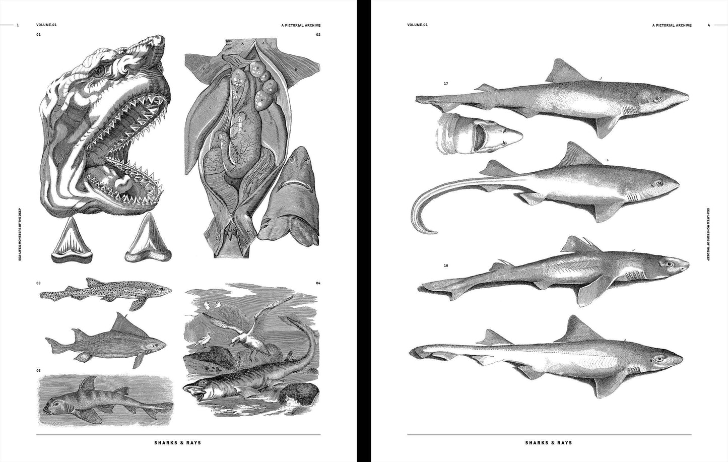 Vault Editions: Sea-Life & Monsters of the Deep Reference Book (Pre-Order)