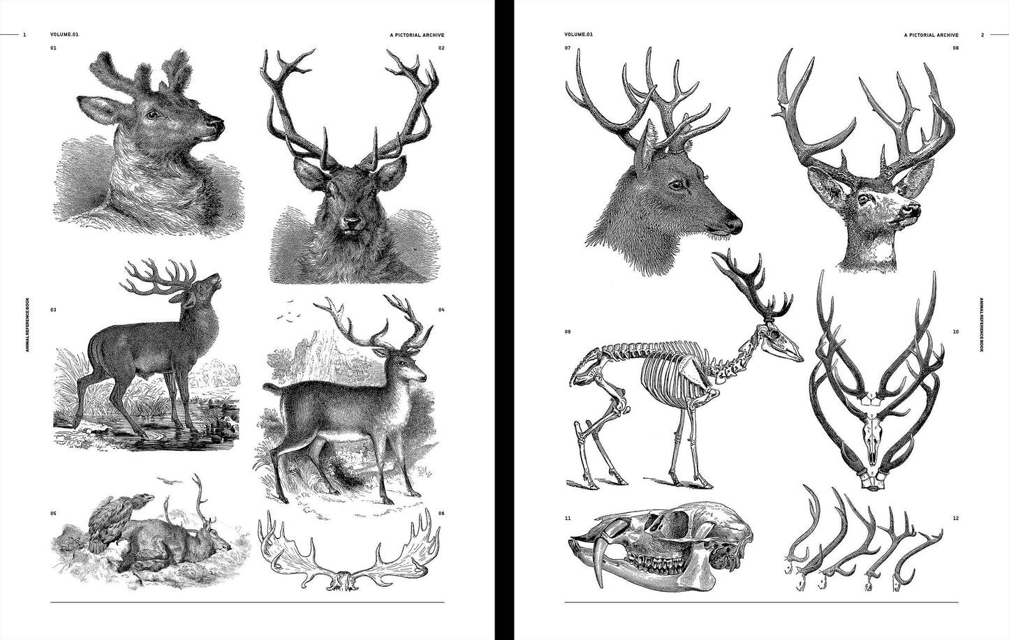 Vault Editions: Animal Reference Book (Pre-Order)