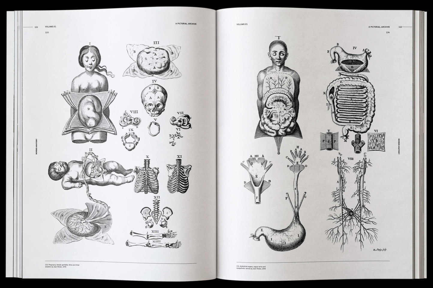 Vault Editions: Morbid Anatomy Reference Book (Pre-Order)