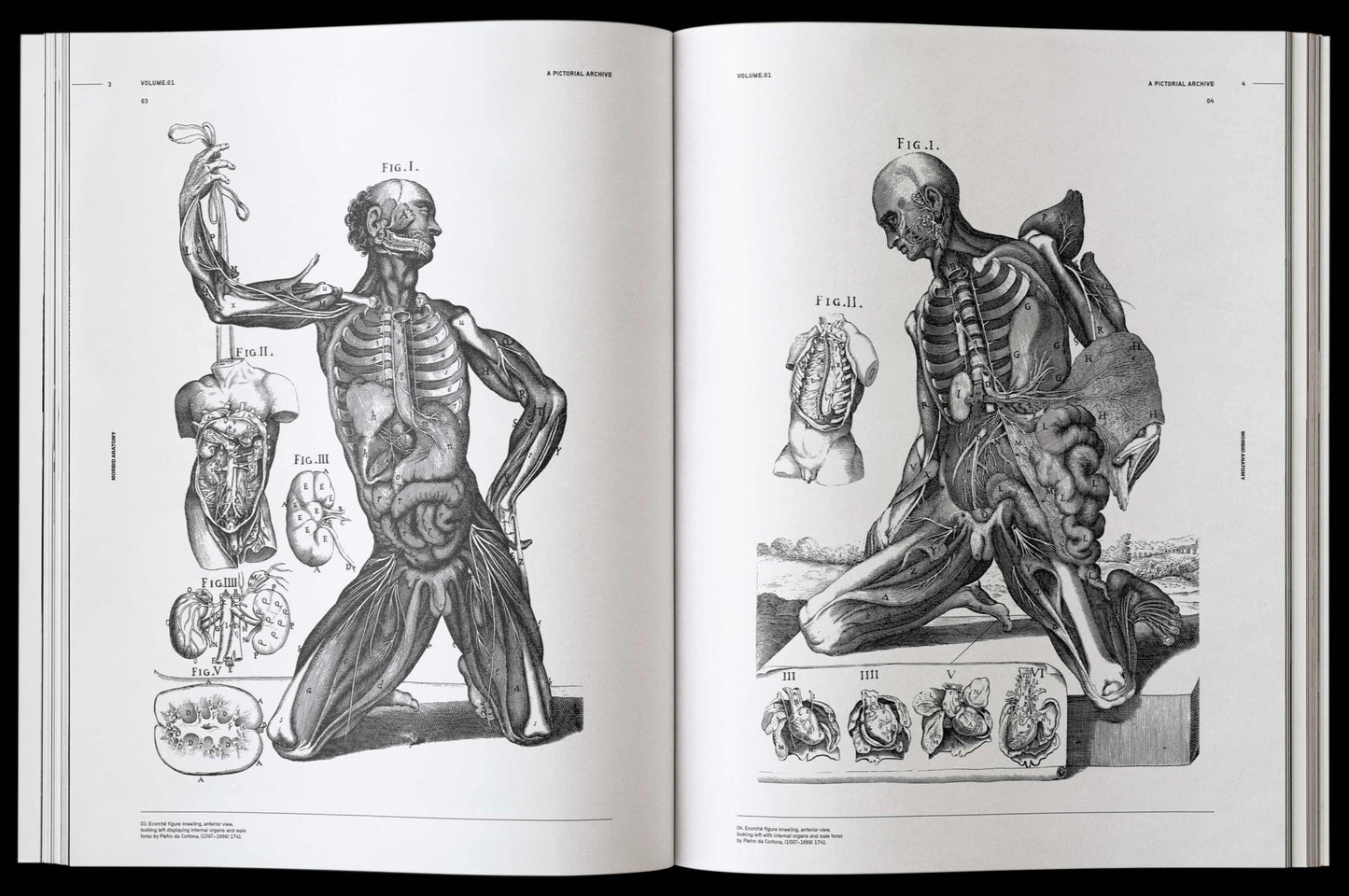 Vault Editions: Morbid Anatomy Reference Book (Pre-Order)