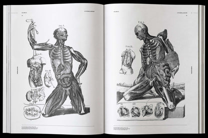 Vault Editions: Morbid Anatomy Reference Book (Pre-Order)