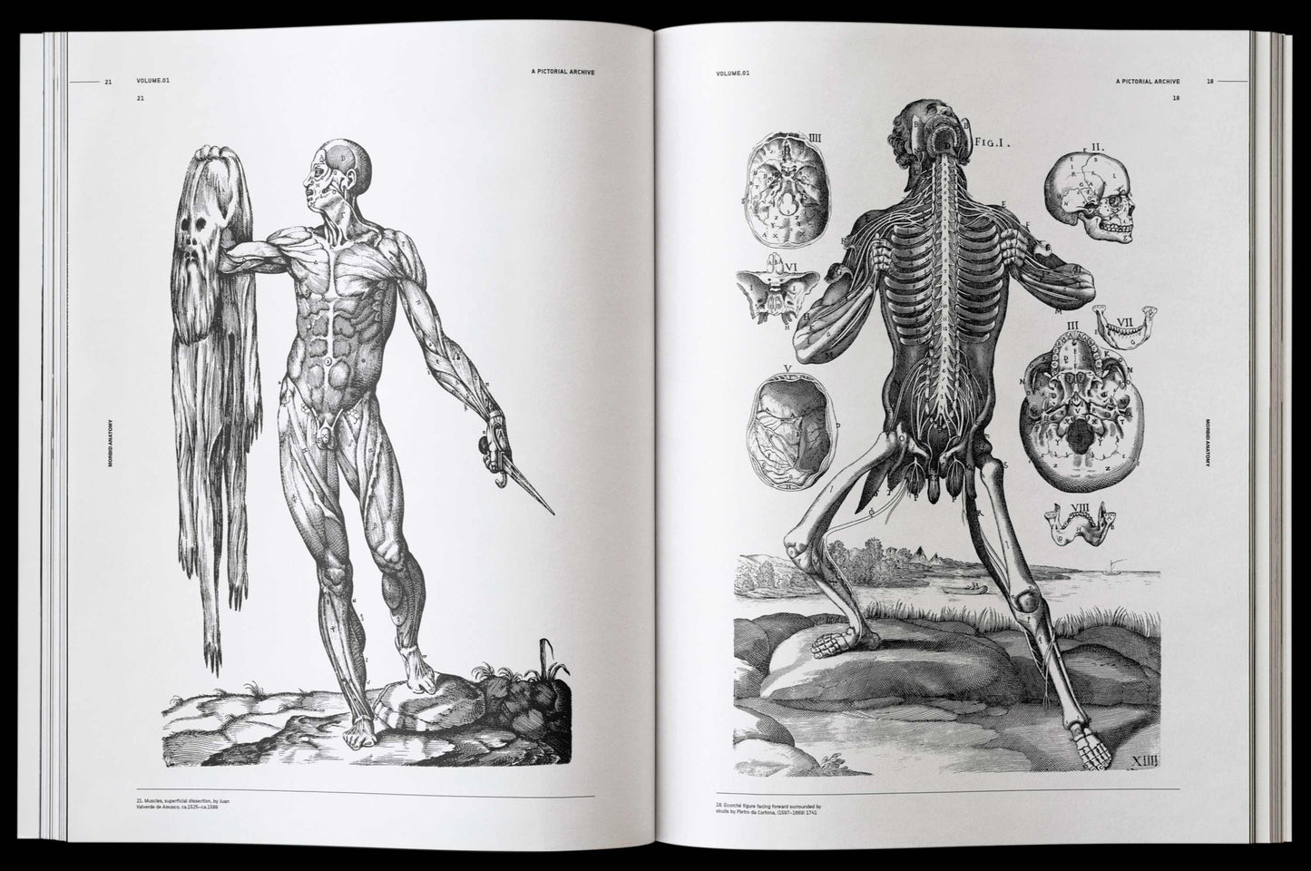 Vault Editions: Morbid Anatomy Reference Book (Pre-Order)