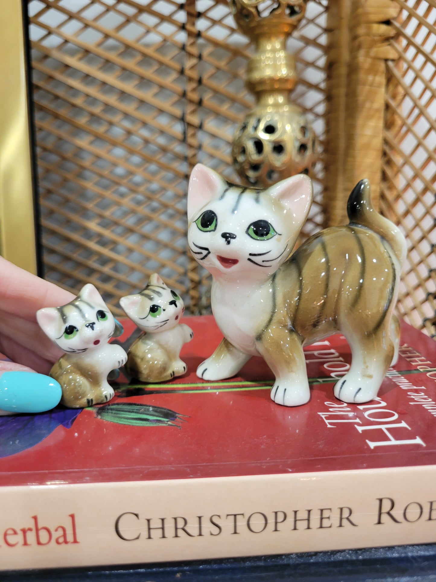 Kitty Family