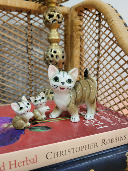 Kitty Family
